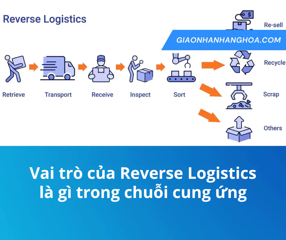 Vai trò của Reverse Logistics là gì trong chuỗi cung ứng