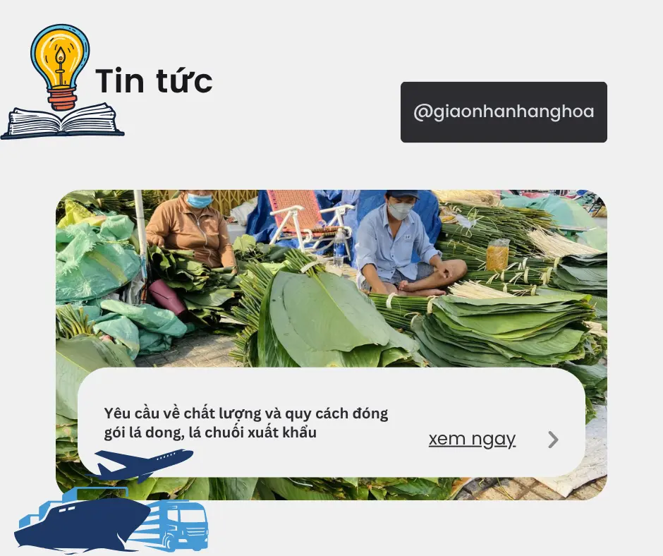 Yêu cầu về chất lượng và quy cách đóng gói lá dong, lá chuối xuất khẩu