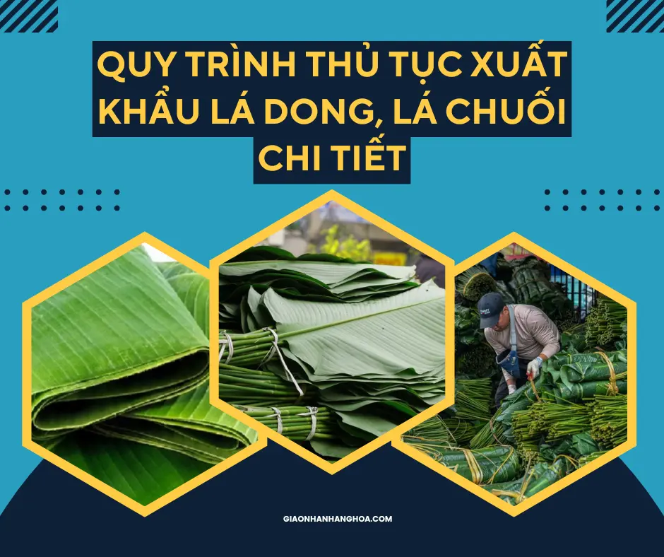 Quy trình thủ tục xuất khẩu lá dong, lá chuối chi tiết