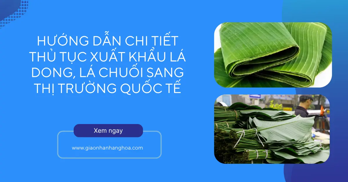 Hướng dẫn chi tiết thủ tục xuất khẩu lá dong, lá chuối sang thị trường quốc tế